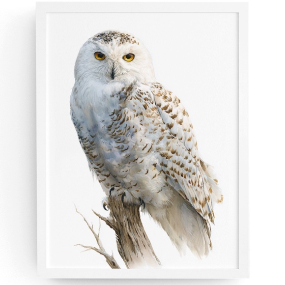 Creative Path Studios Other - Watercolor Snowy Owl Portrait Wall Art Print, Unframed - Mystic Winter Grace